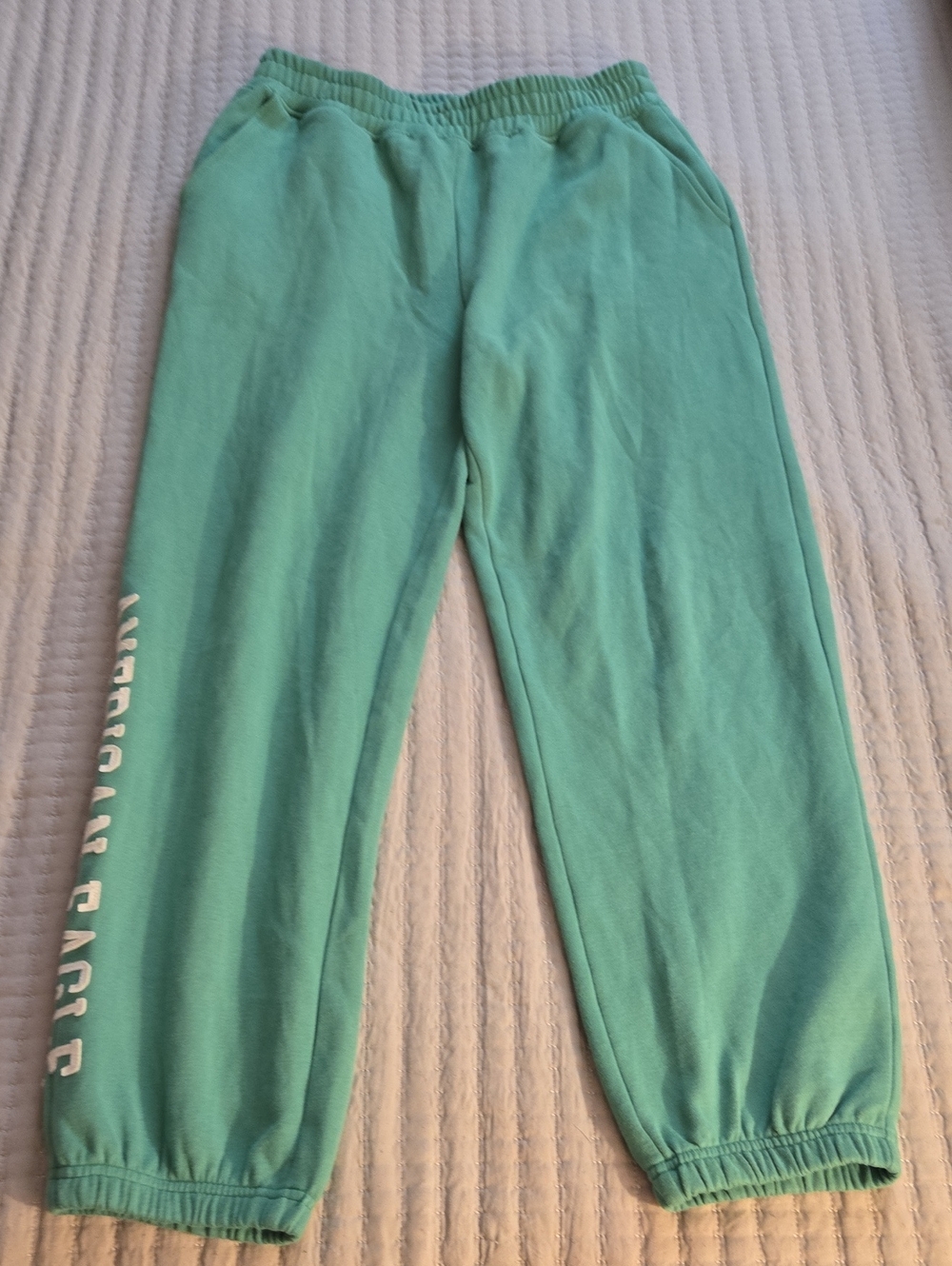 American Eagle Outfitters Green Jogger Sweatpants-Vintage Style, Logo Applique